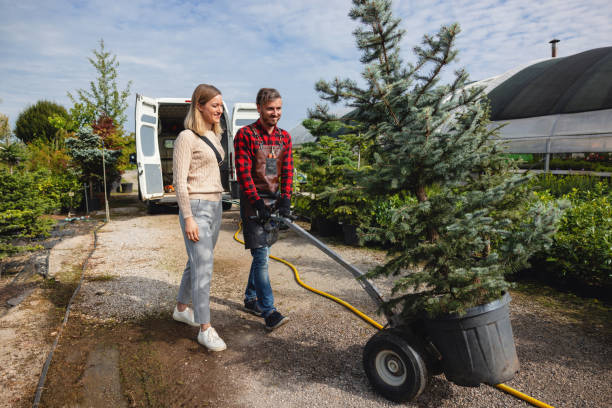 Tree Removal for Businesses